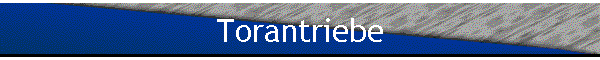 Torantriebe