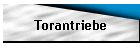 Torantriebe