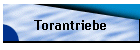Torantriebe